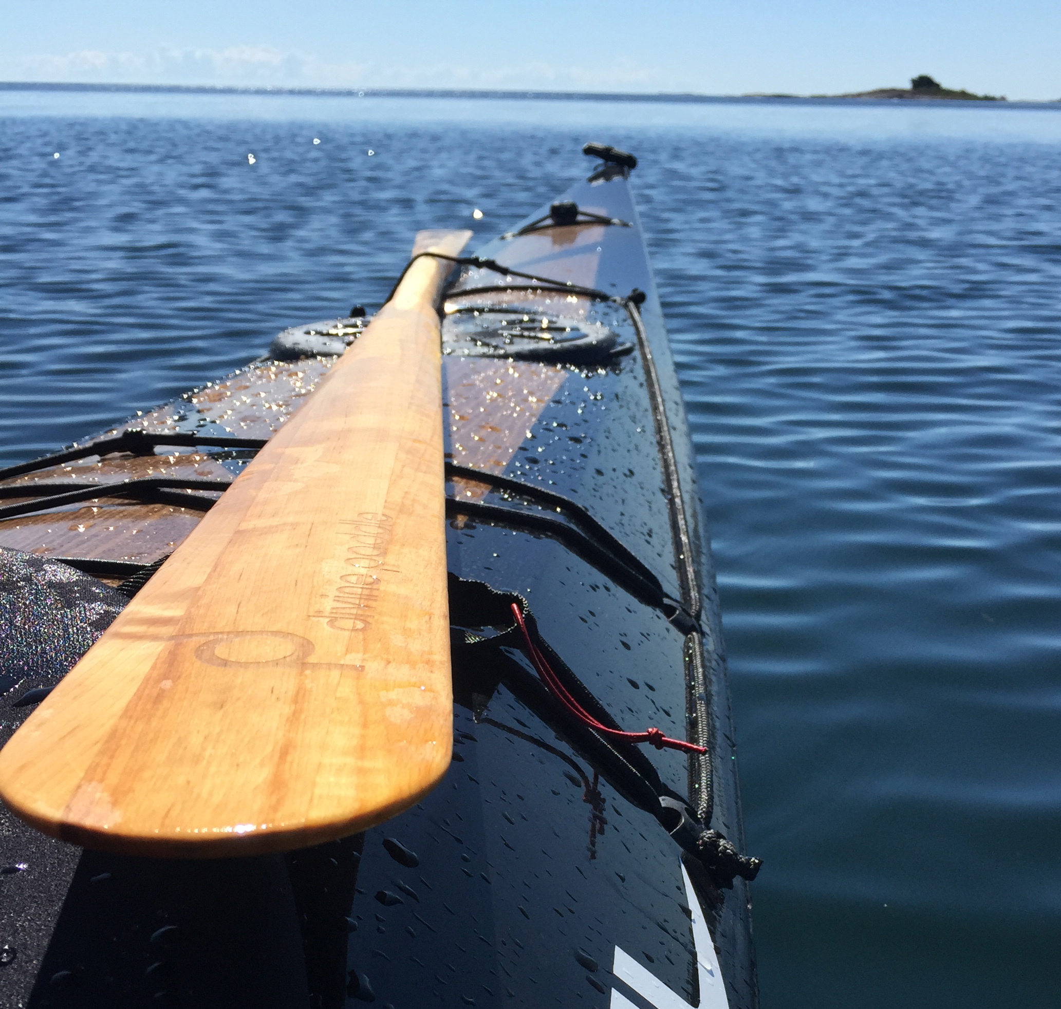 divine paddle Greenland paddel Ostkustenkajak